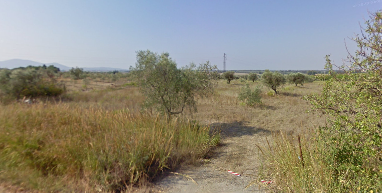 Terreno Agricolo in vendita a Grosseto