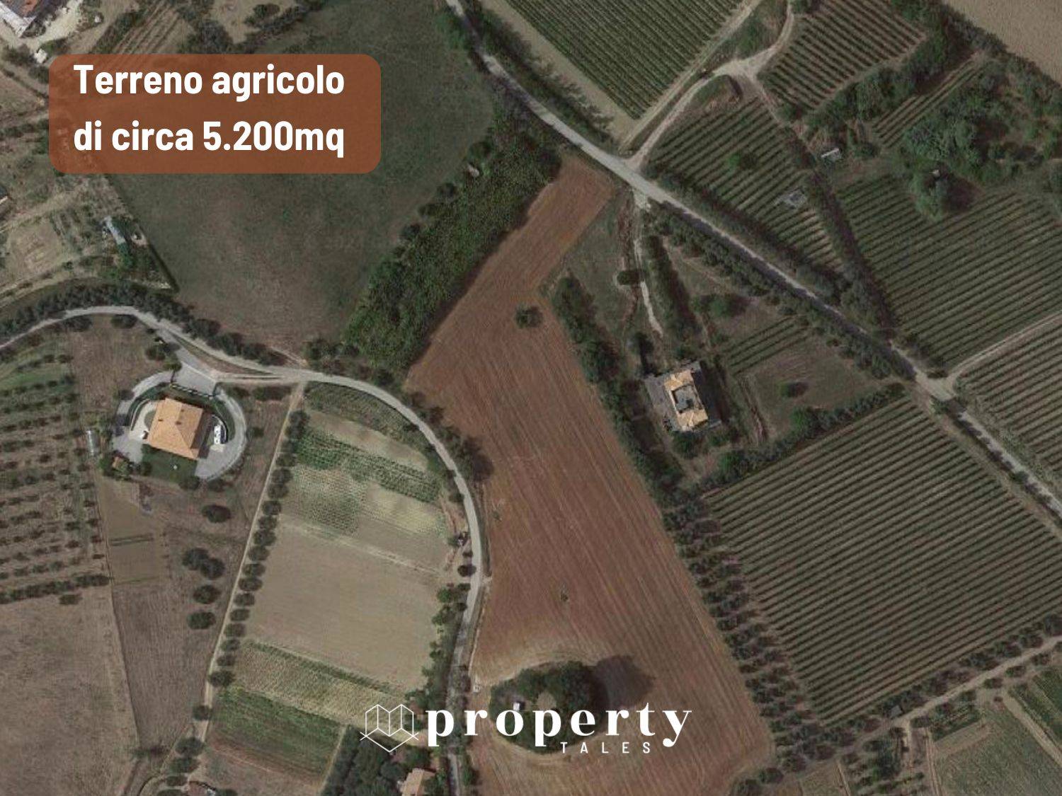 Terreno Agricolo in vendita a Monteprandone