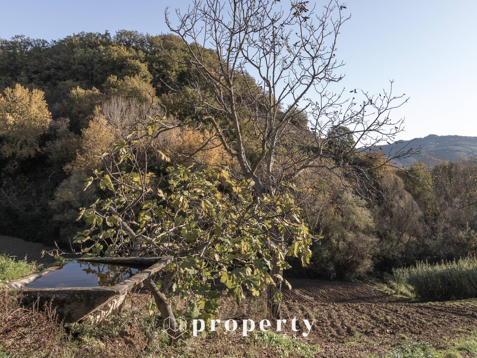 Casolare in vendita a Ripatransone