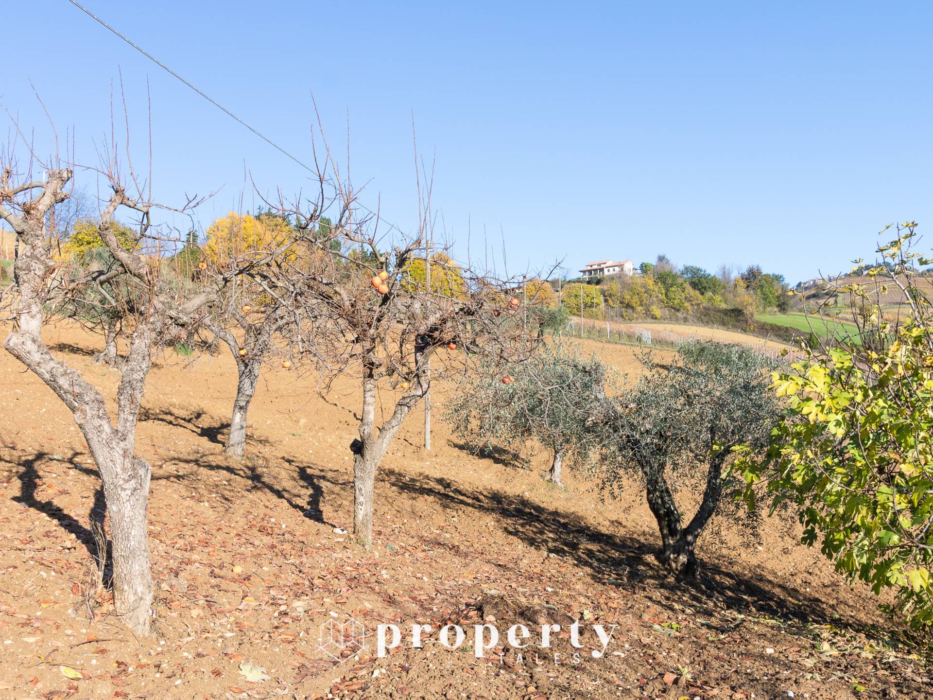 Casolare in vendita a Ripatransone