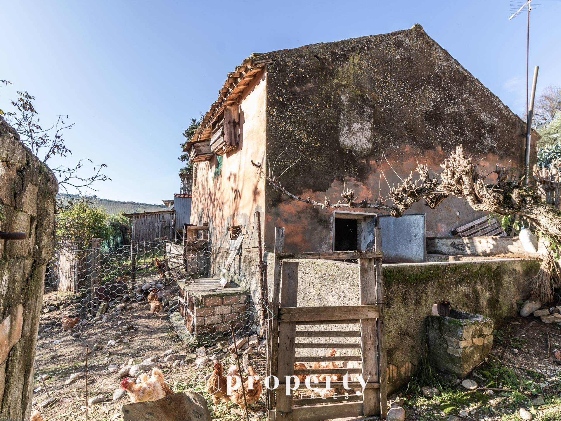 Casolare in vendita a Ripatransone