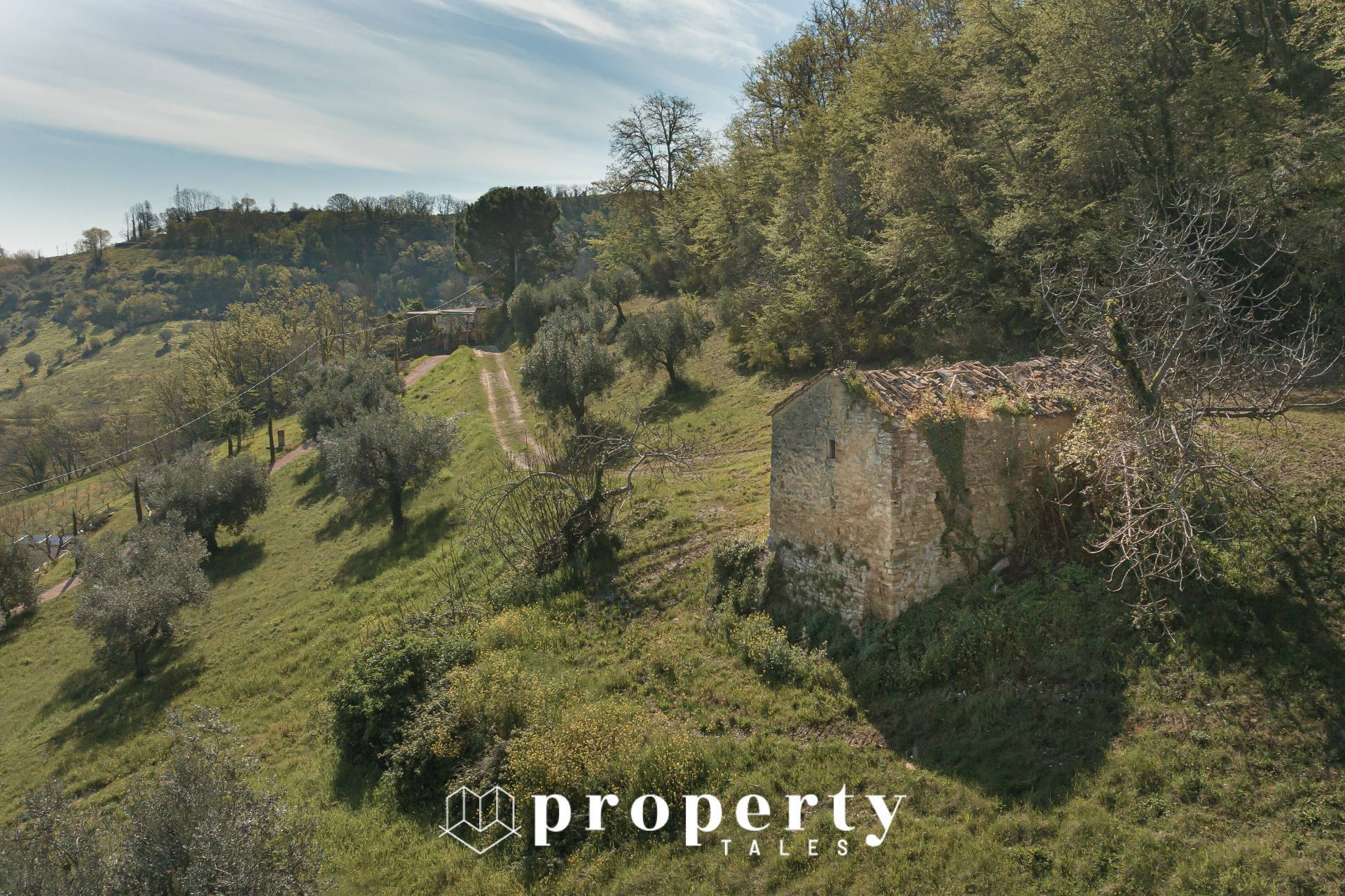 Casolare in vendita a Montefiore dell'Aso