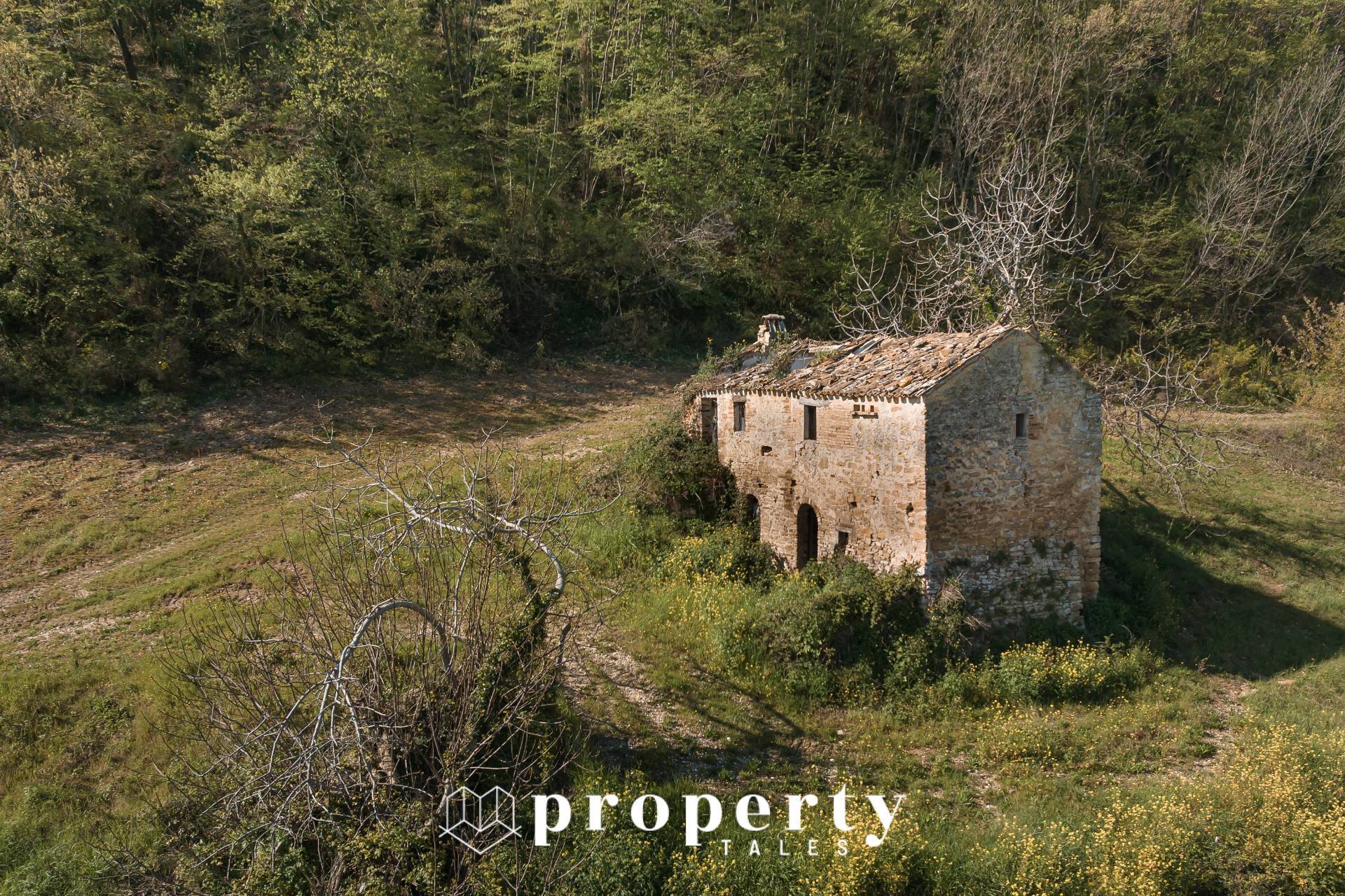 Casolare in vendita a Montefiore dell'Aso