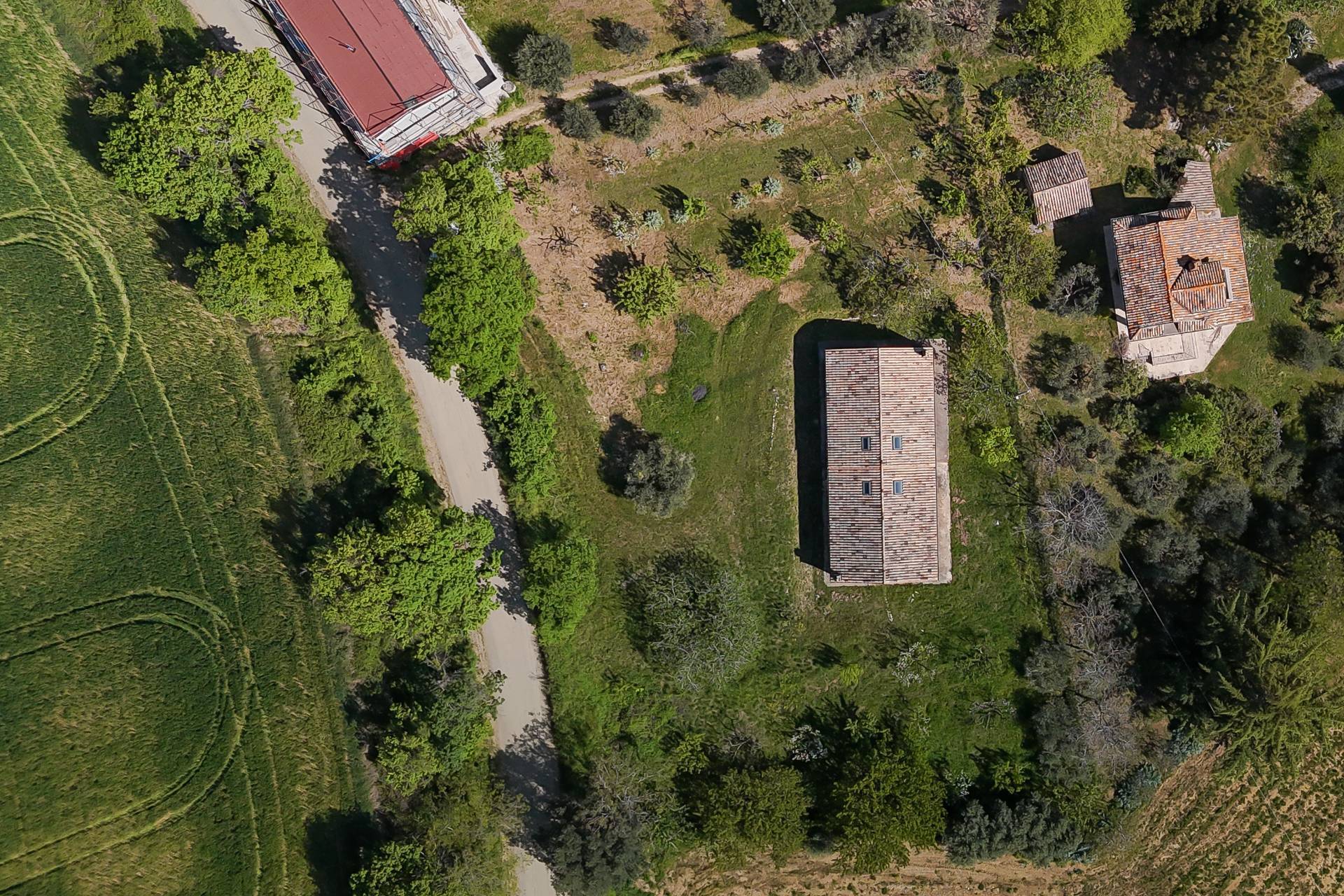 immagine annuncio 3 di 10