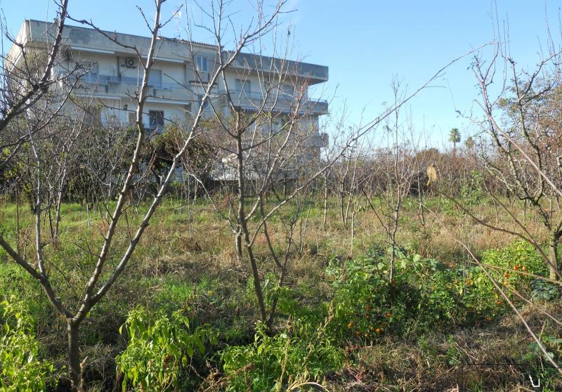 AGRICOLO in vendita a Qualiano