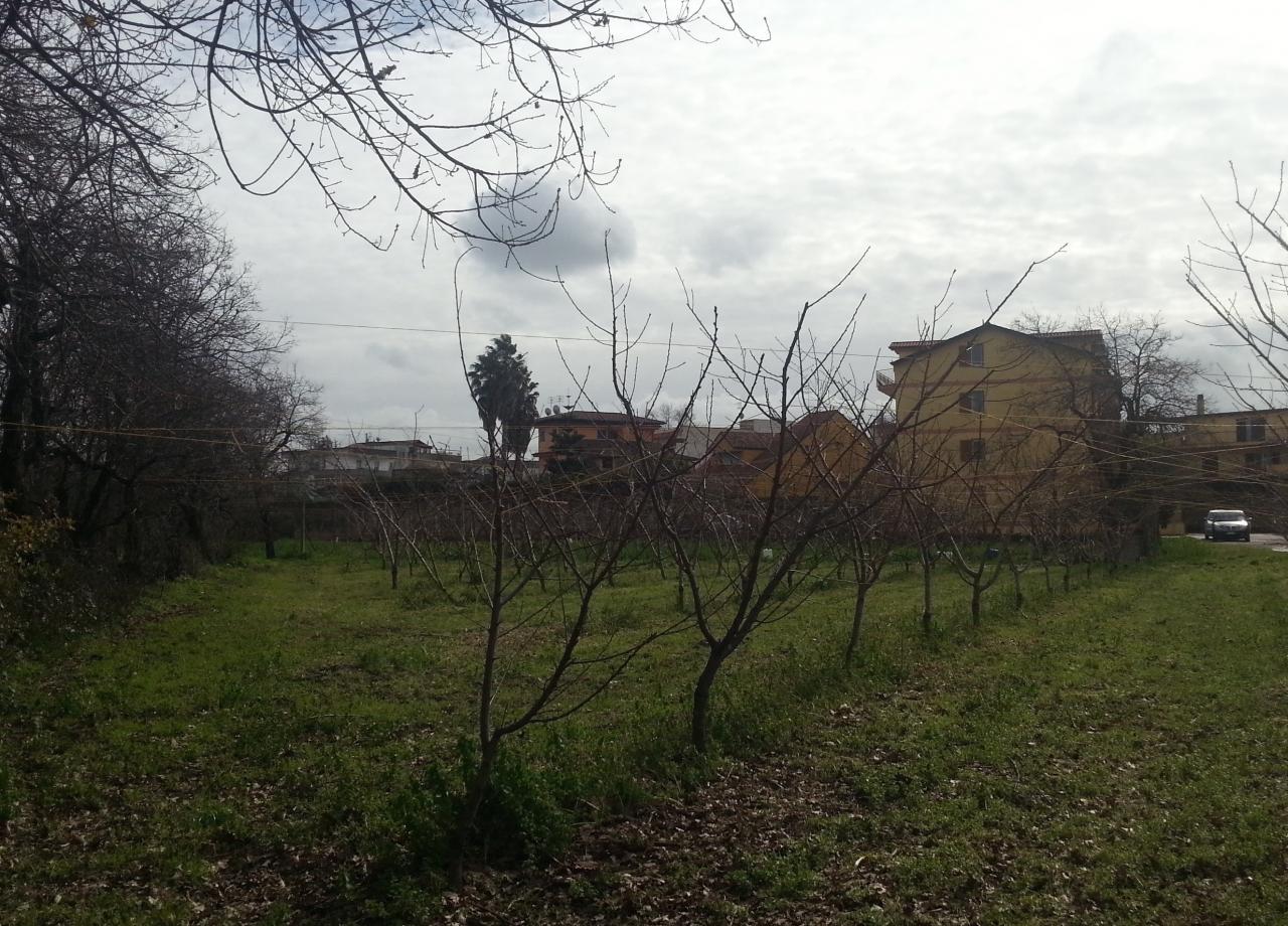 immagine annuncio 2 di 6