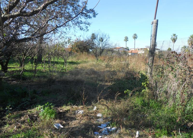 AGRICOLO in vendita a Qualiano