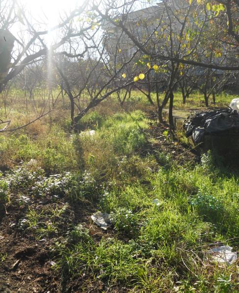 AGRICOLO in vendita a Qualiano
