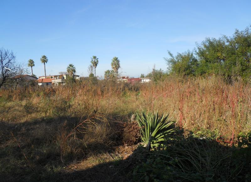 AGRICOLO in vendita a Qualiano