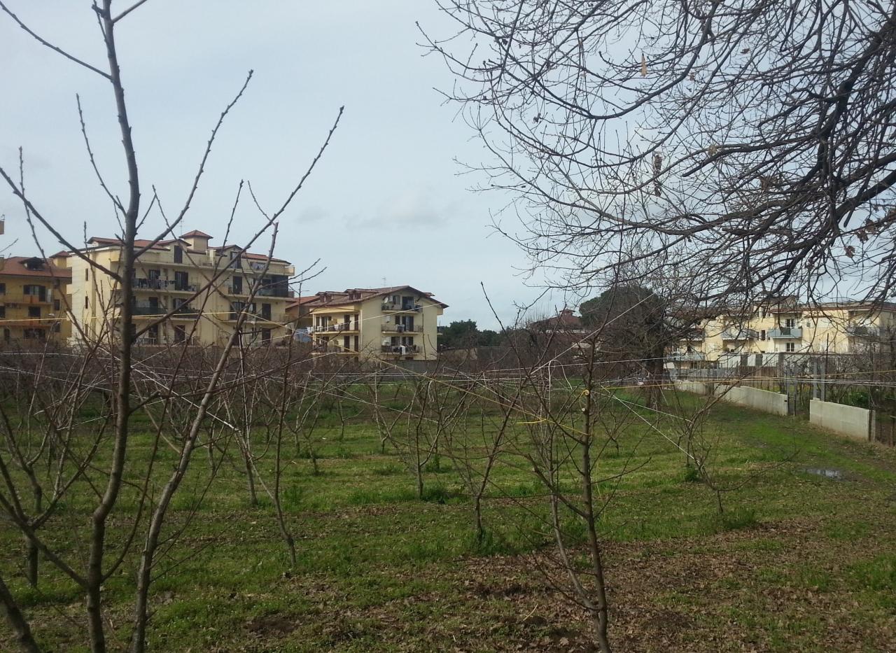 AGRICOLO in vendita a Villaricca