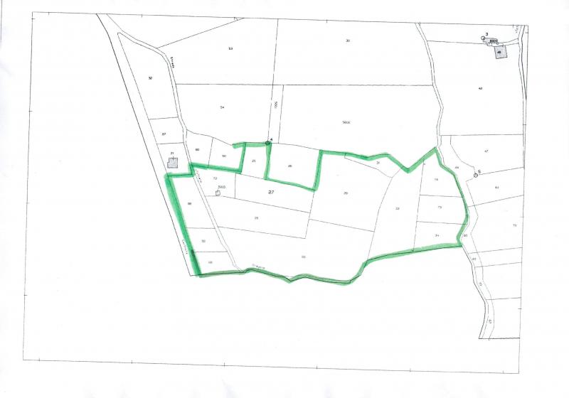 AGRICOLO in vendita a Carinola