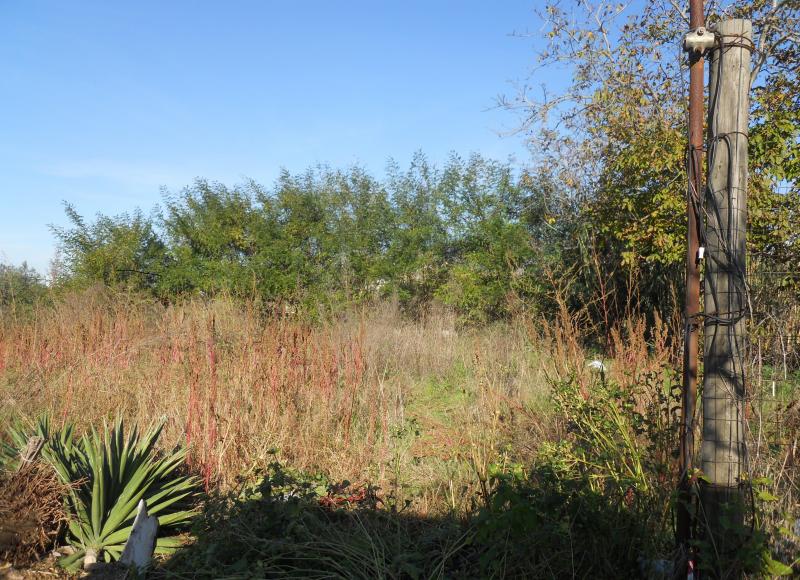 AGRICOLO in vendita a Qualiano