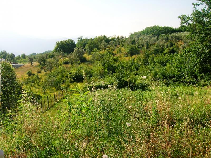 EDIFICABILE in vendita a Cervaro