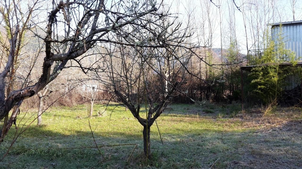 MAGAZZINO/CANTINA in vendita a Sant'Elia Fiumerapido