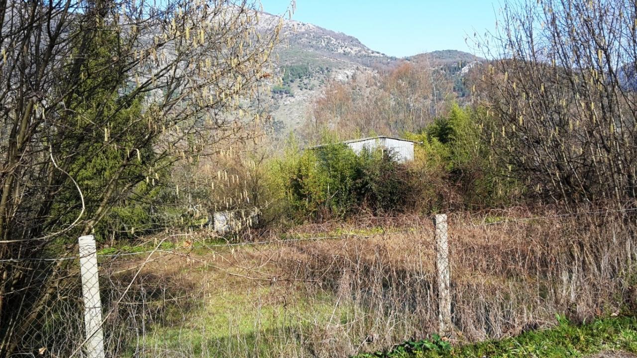 MAGAZZINO/CANTINA in vendita a Sant'Elia Fiumerapido