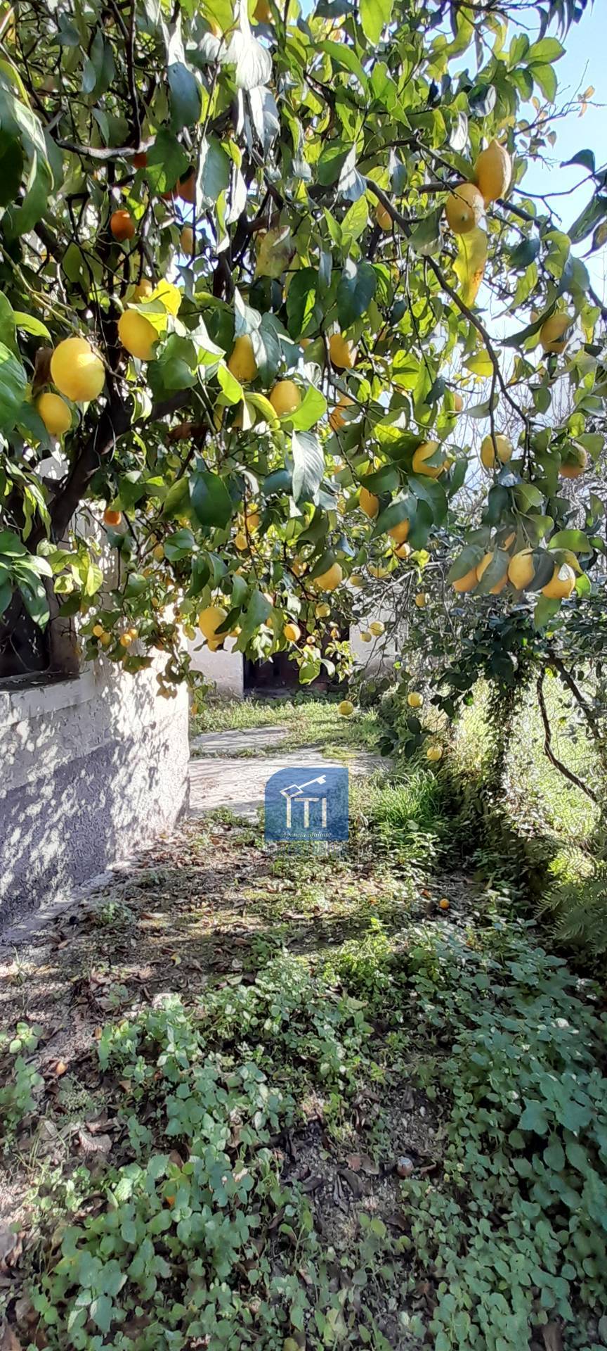 CASALE in vendita a Sant'Elia Fiumerapido