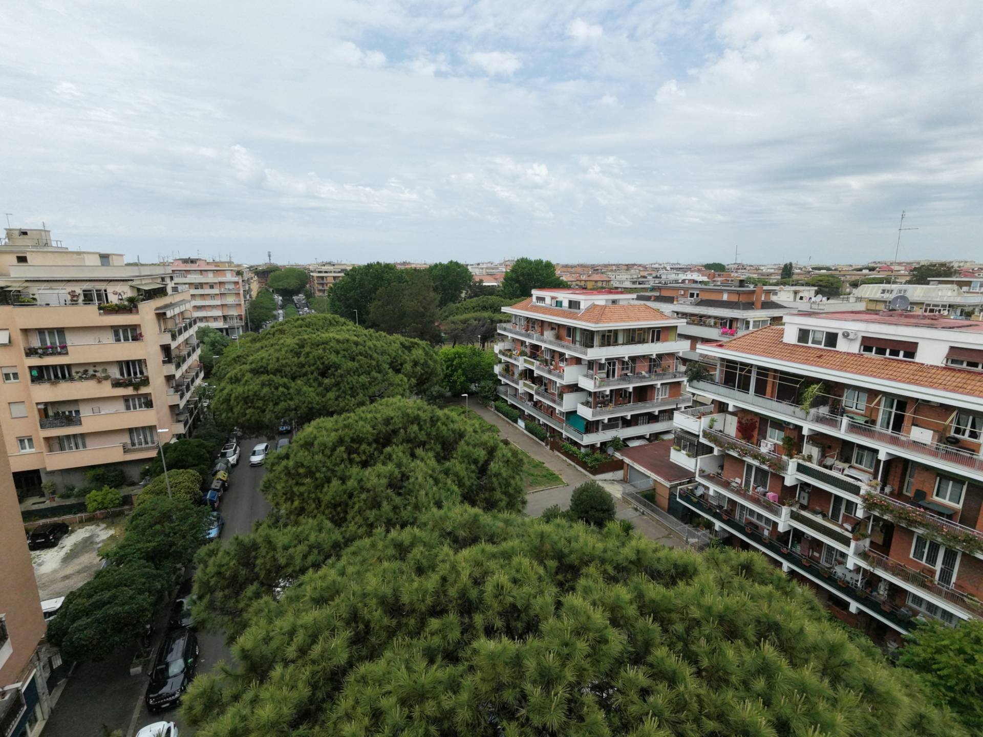 NEGOZIO in affitto a Roma, Ostia