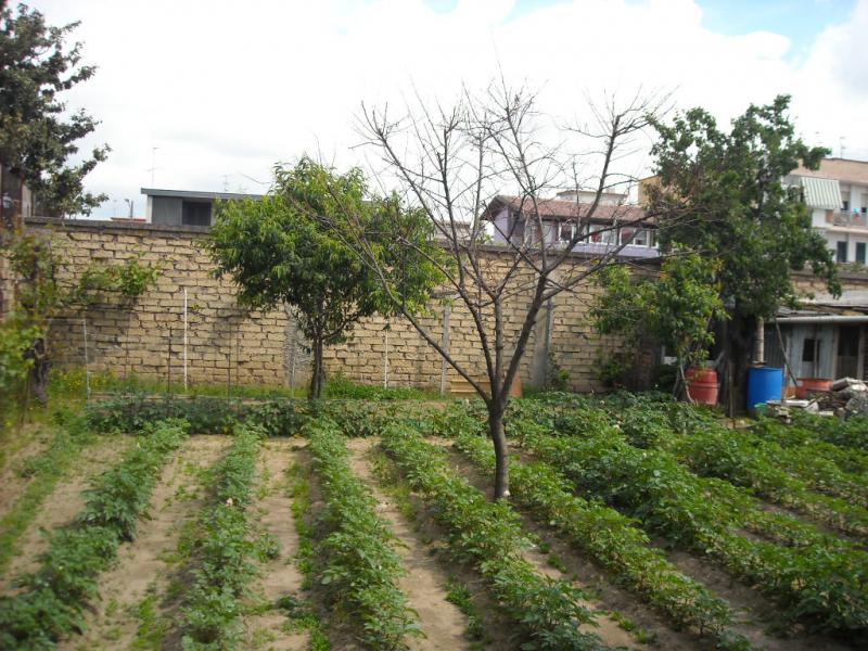 AGRICOLO in vendita a Sant'Antimo