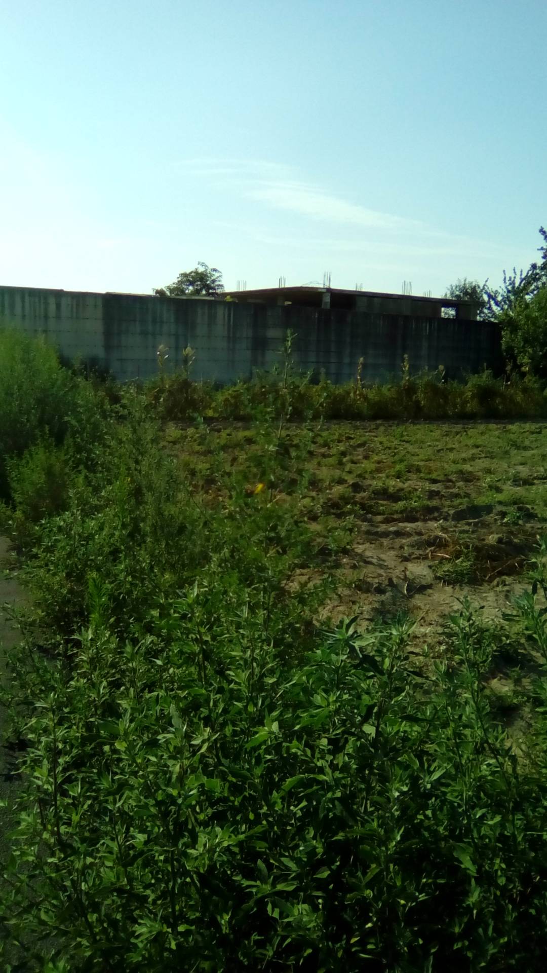 AGRICOLO in vendita a Sant'Antimo