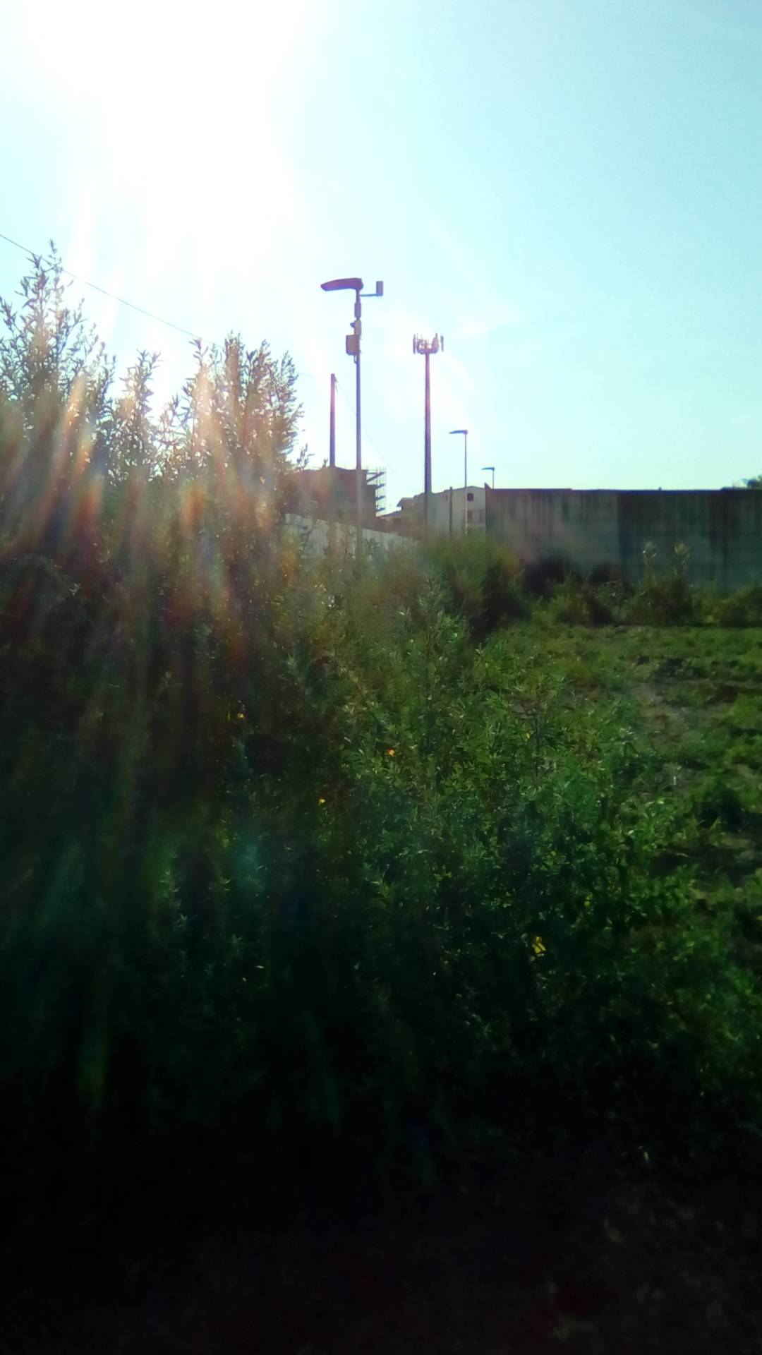 AGRICOLO in vendita a Sant'Antimo