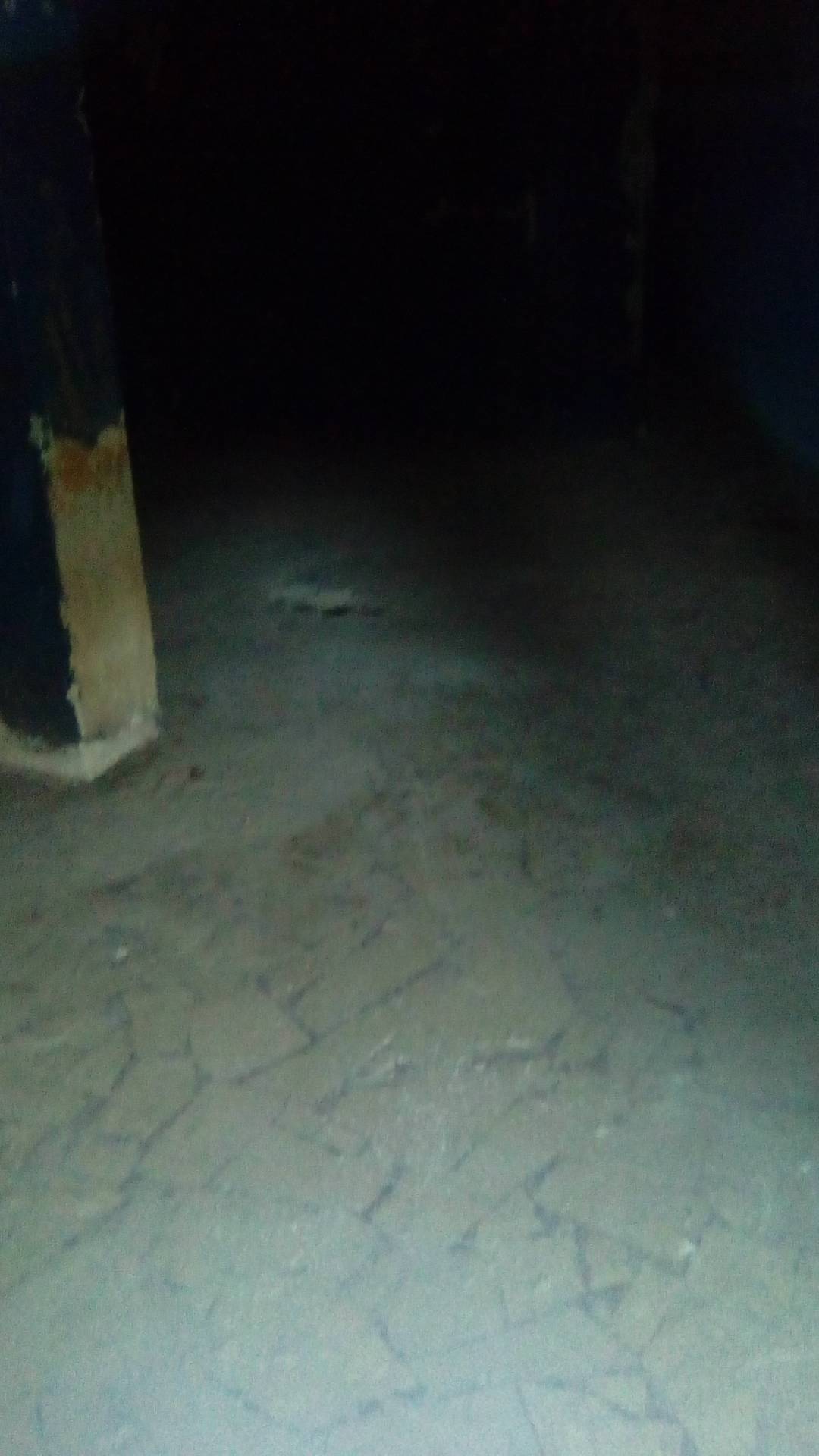 LICENZA/ATTIVITA COMM.LE in affitto a Sant'Antimo