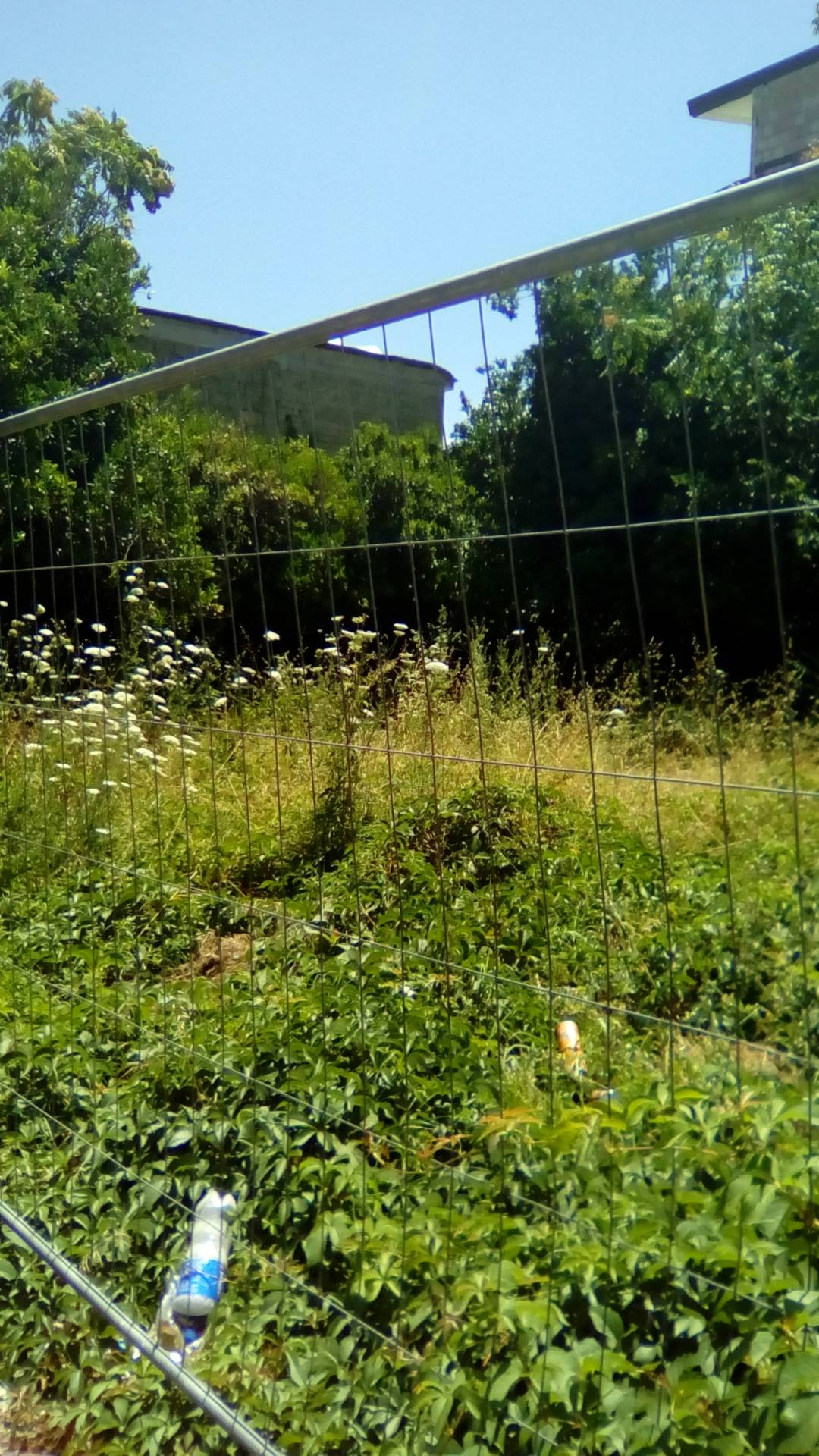 EDIFICABILE in vendita a Sant'Antimo