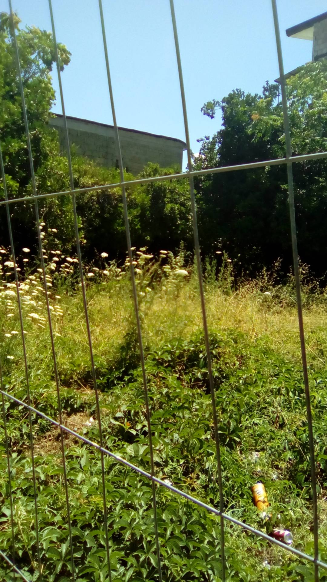 EDIFICABILE in vendita a Sant'Antimo