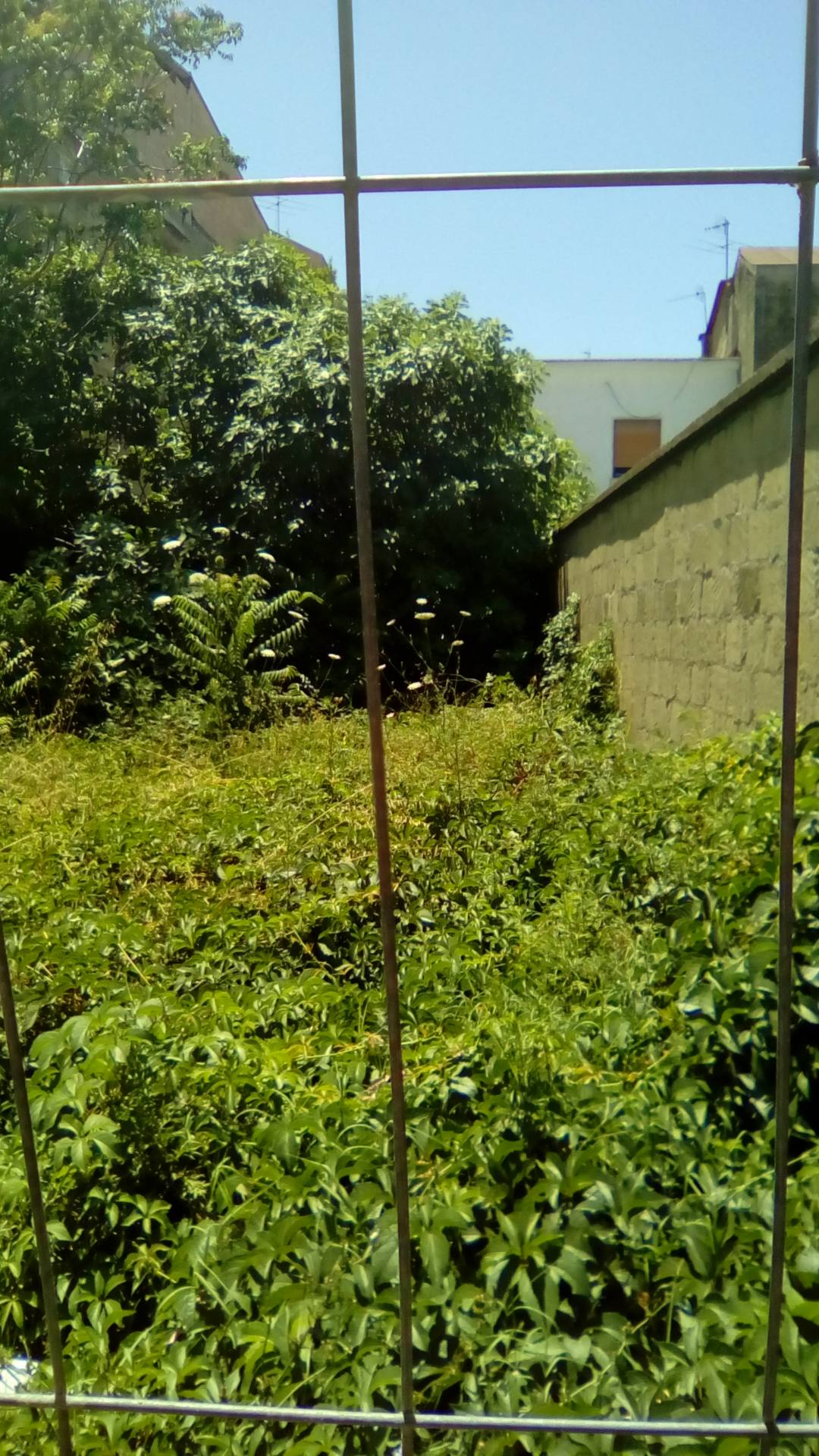 EDIFICABILE in vendita a Sant'Antimo