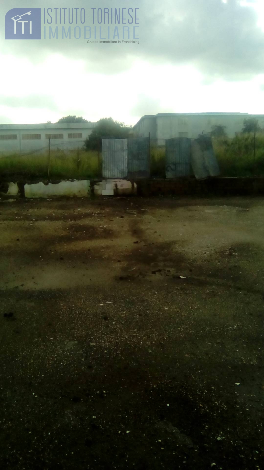 AGRICOLO in affitto a Sant'Antimo