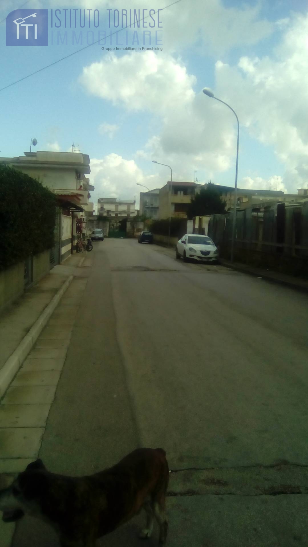 AGRICOLO in affitto a Sant'Antimo