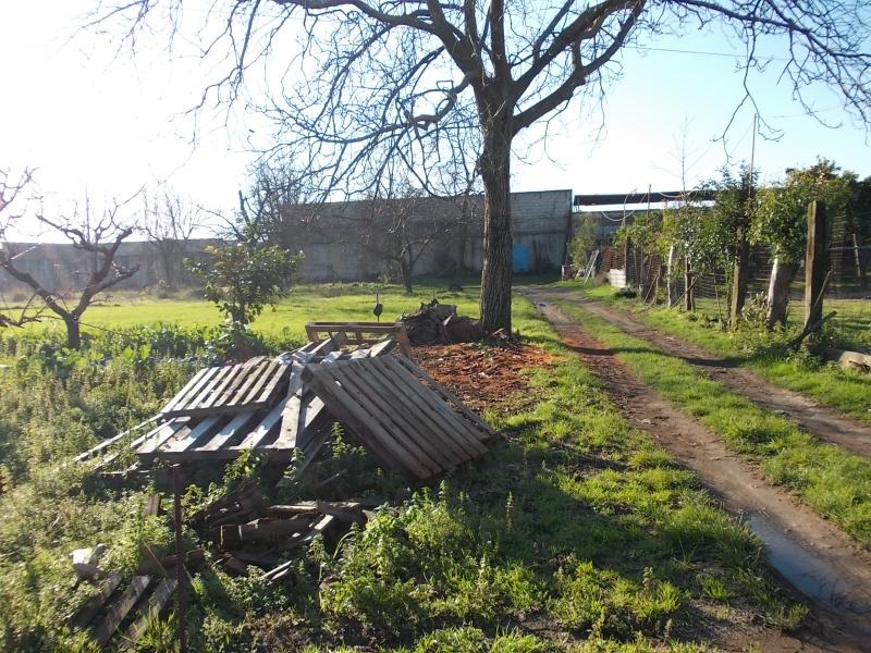 AGRICOLO in vendita a Sant'Antimo