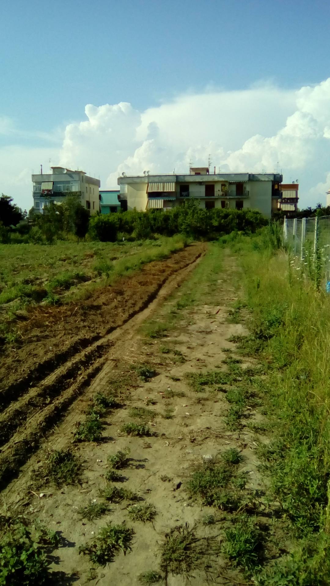 AGRICOLO in vendita a Sant'Antimo