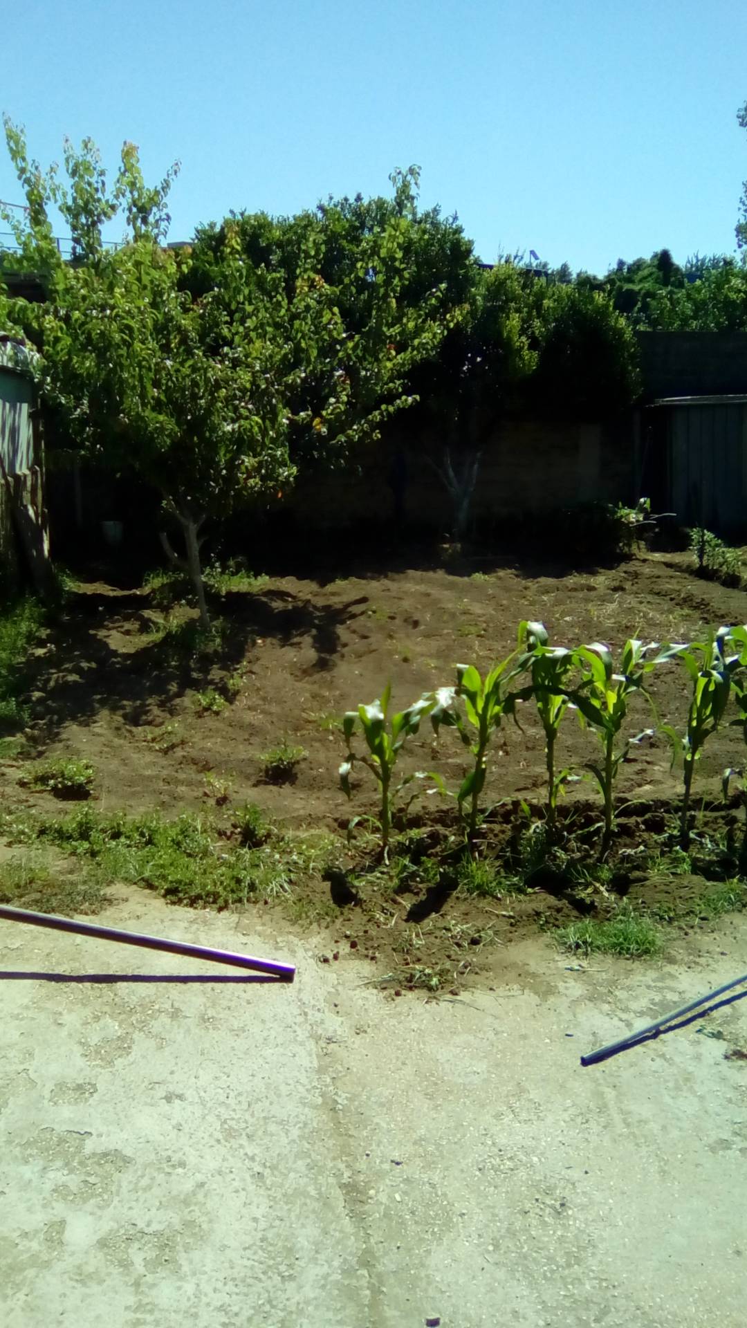 AGRICOLO in vendita a Sant'Antimo