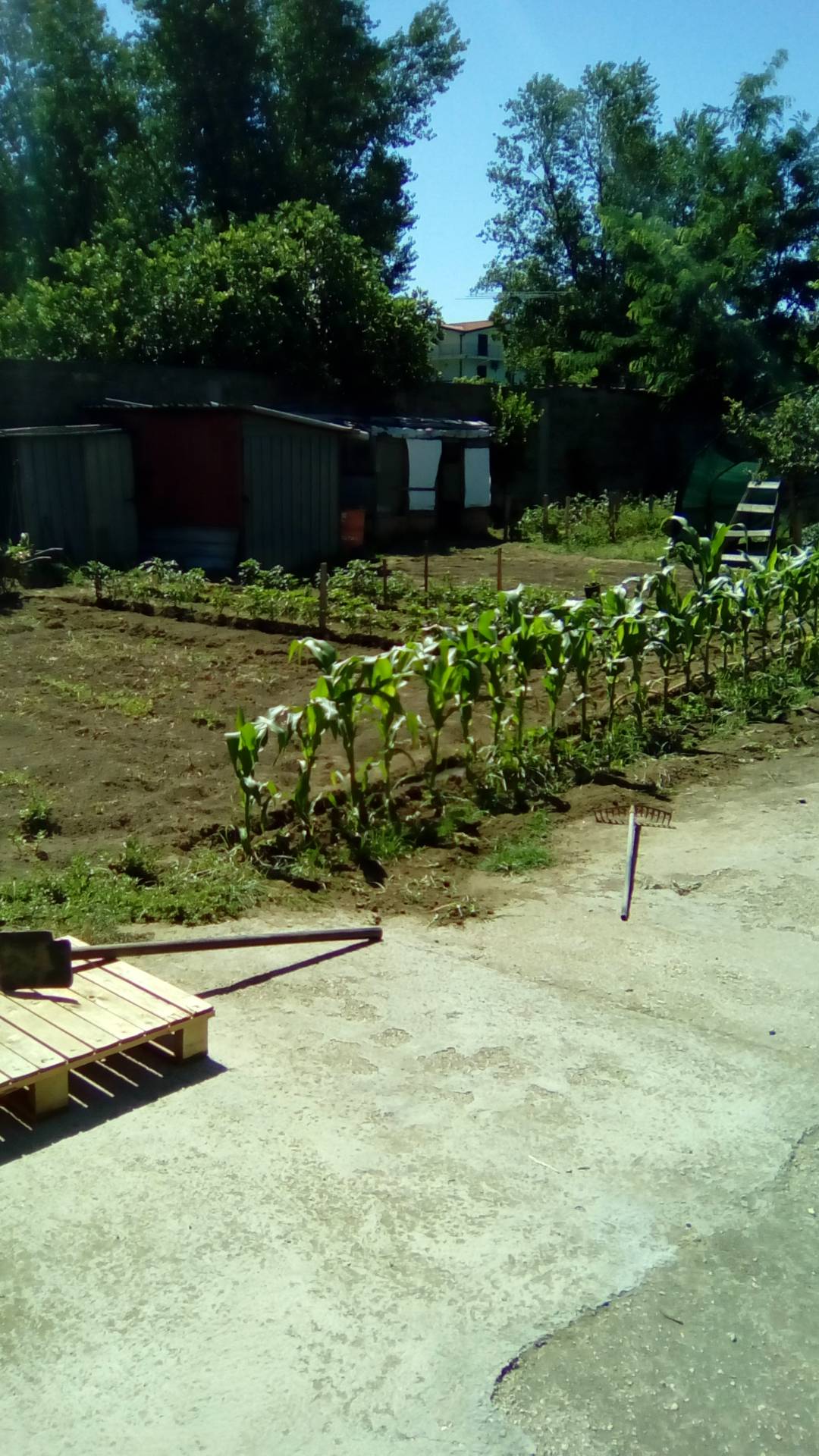 AGRICOLO in vendita a Sant'Antimo