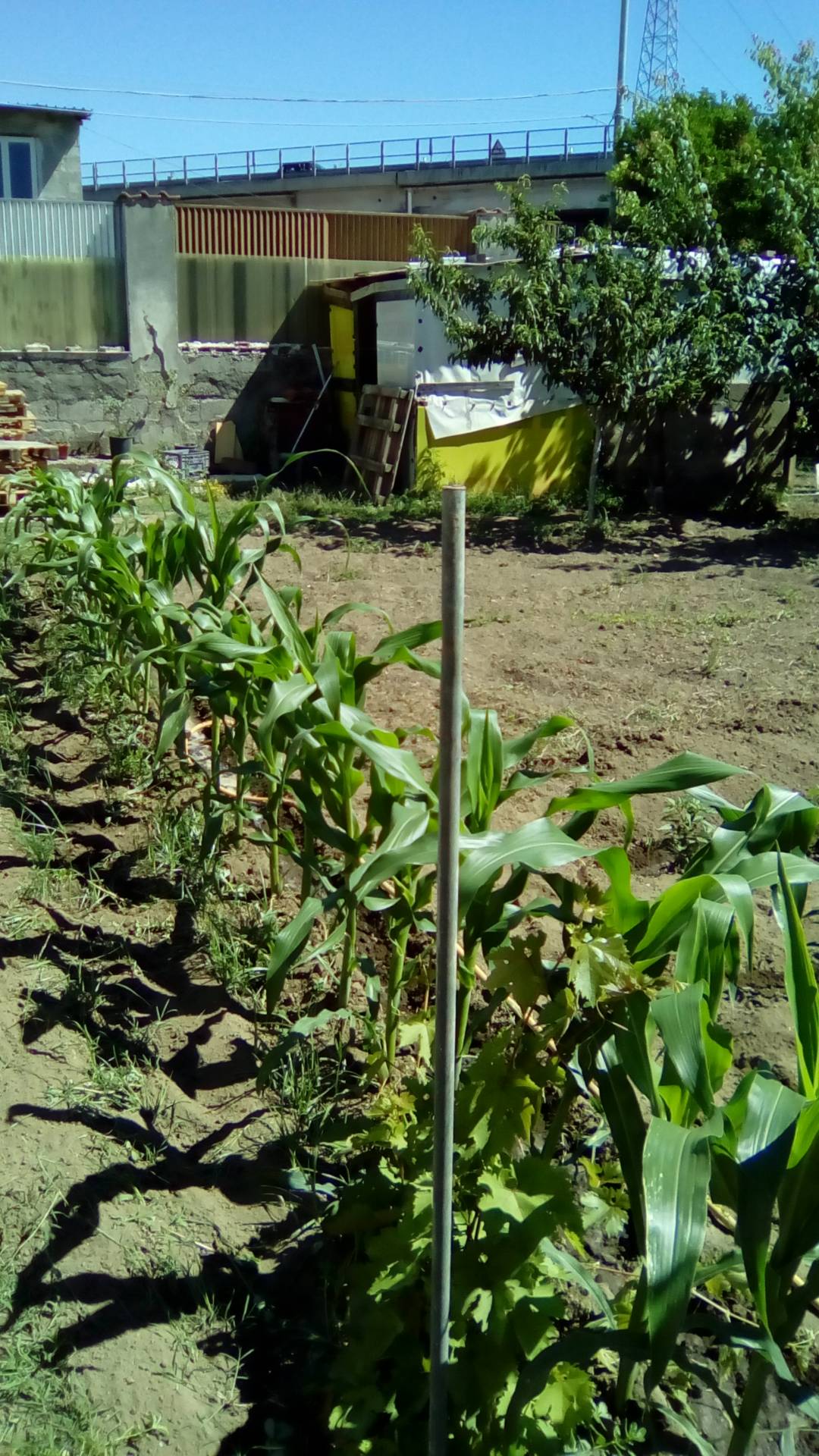 AGRICOLO in vendita a Sant'Antimo