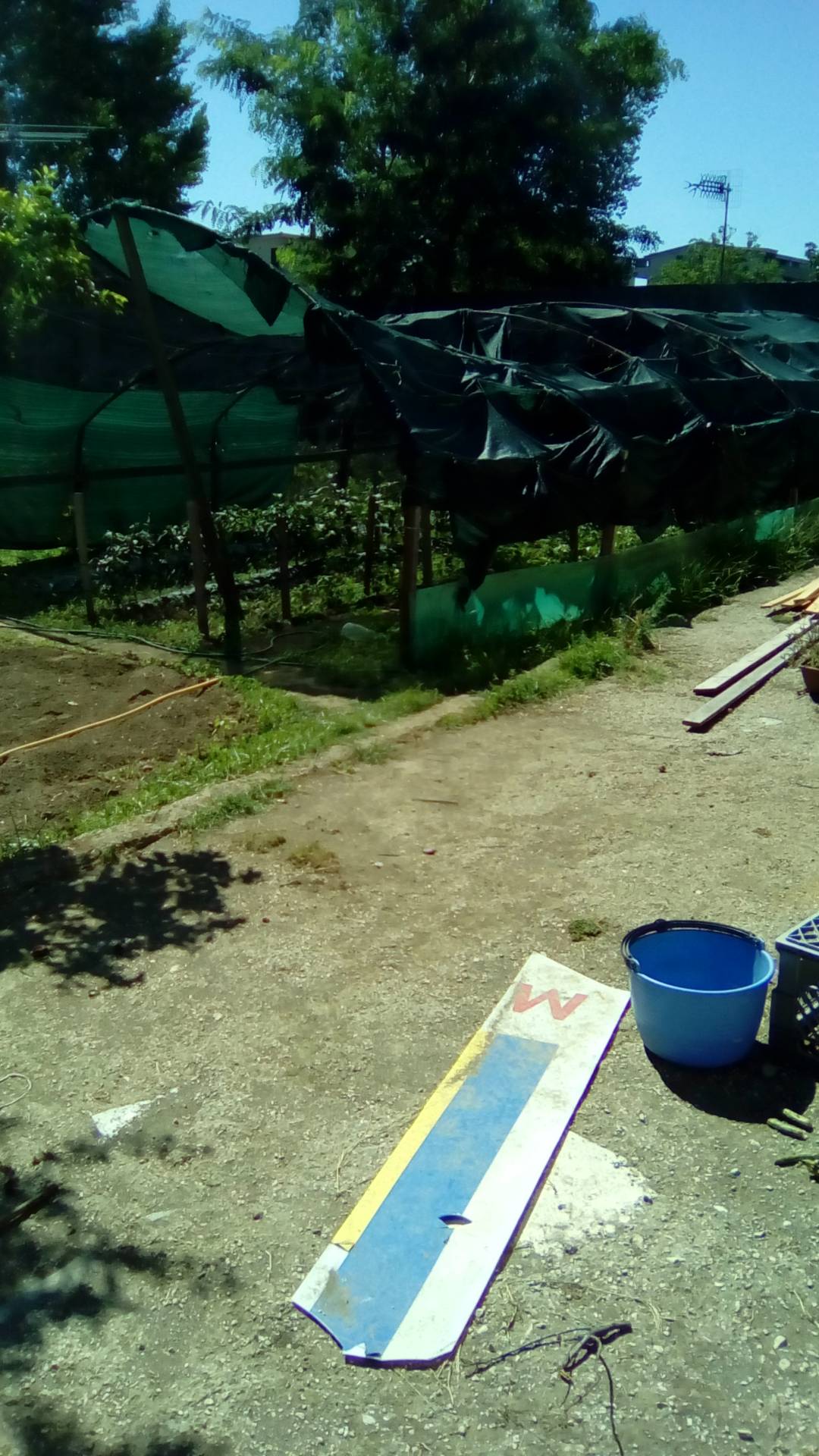 AGRICOLO in vendita a Sant'Antimo