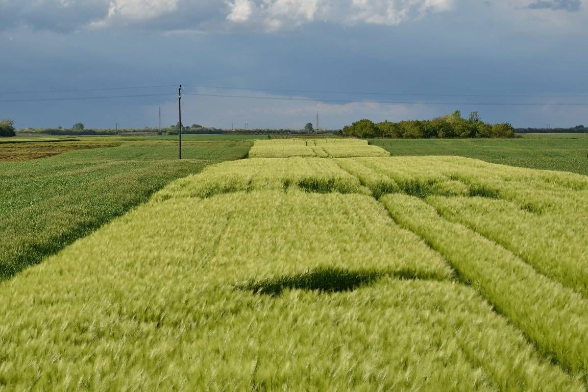 Terreno Agricolo in vendita a Truccazzano