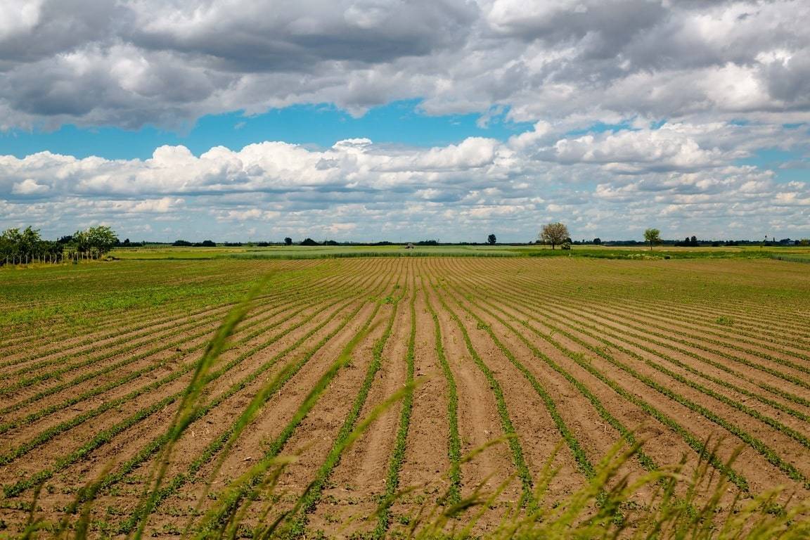 Terreno Agricolo in vendita a Truccazzano