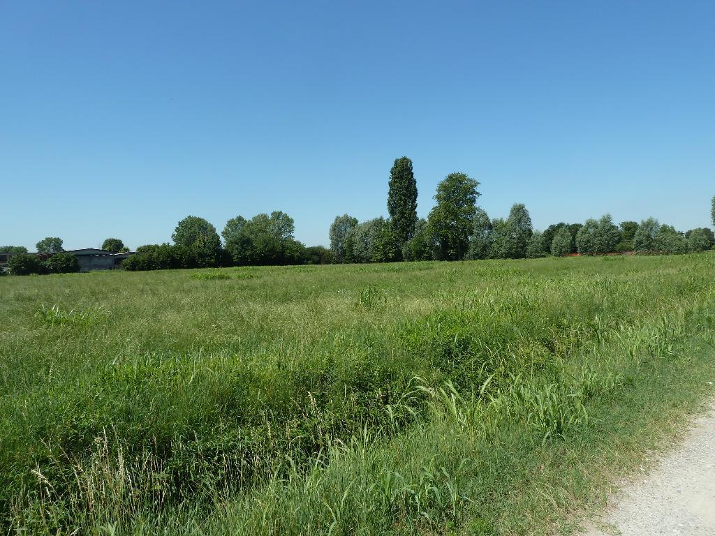Terreno Agricolo in vendita a Gorgonzola