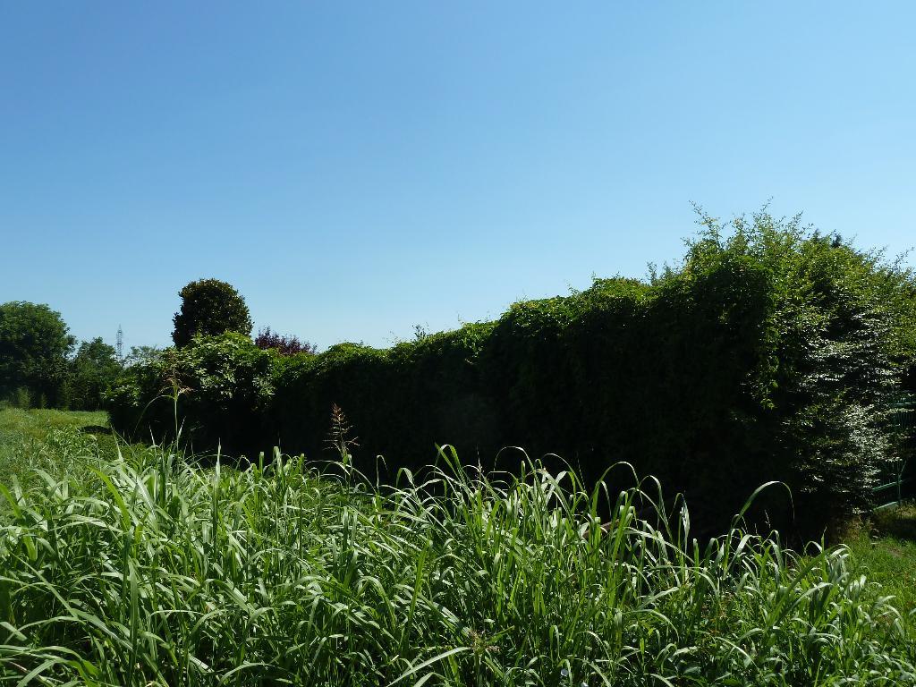 Terreno Agricolo in vendita a Gorgonzola