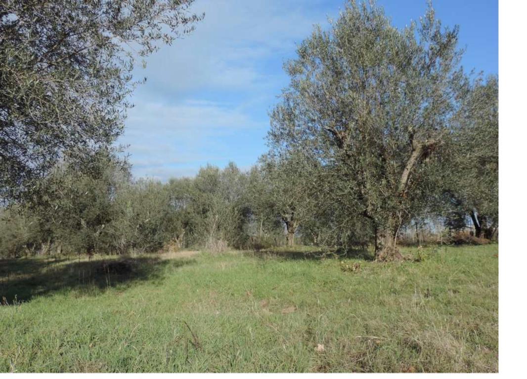 Terreno edificabile in vendita a Truccazzano