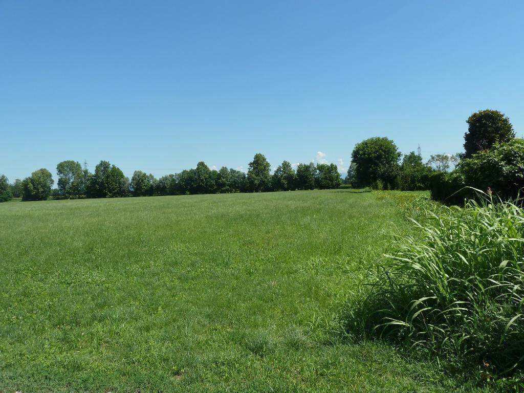 Terreno Agricolo in vendita a Gorgonzola