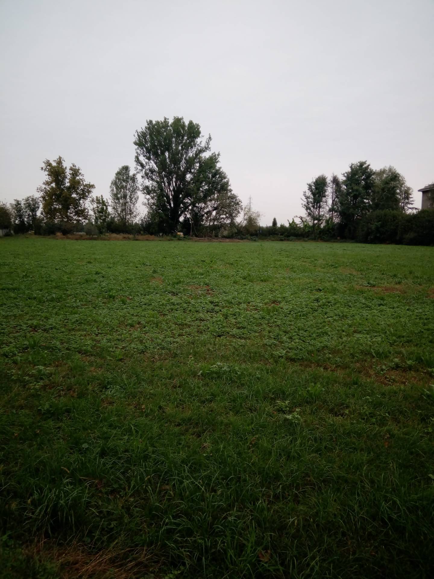 Terreno Agricolo in vendita a Melzo
