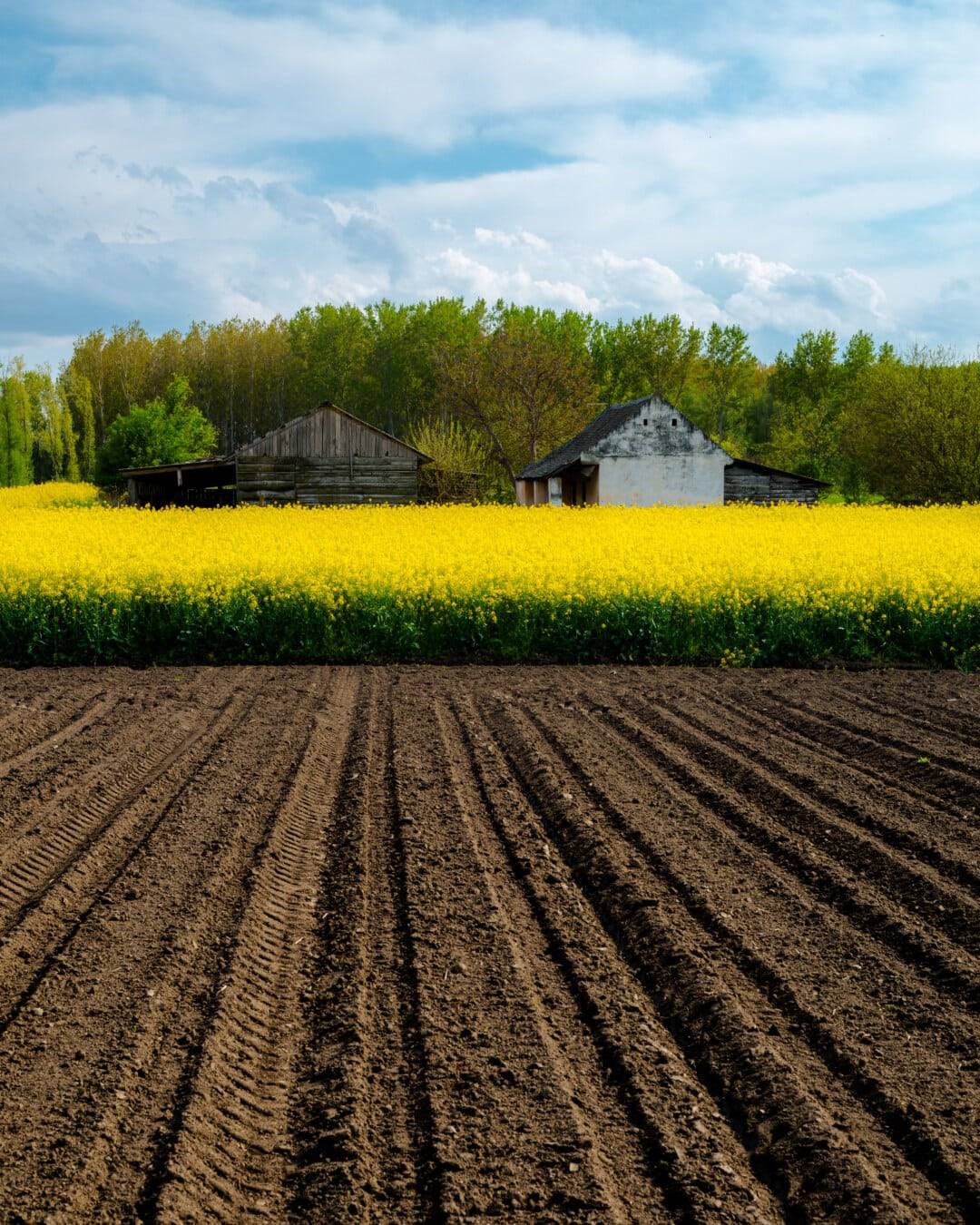 Terreno Agricolo in vendita a Truccazzano