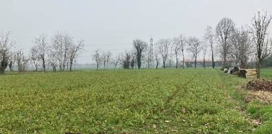 Terreno Agricolo in vendita a Inzago