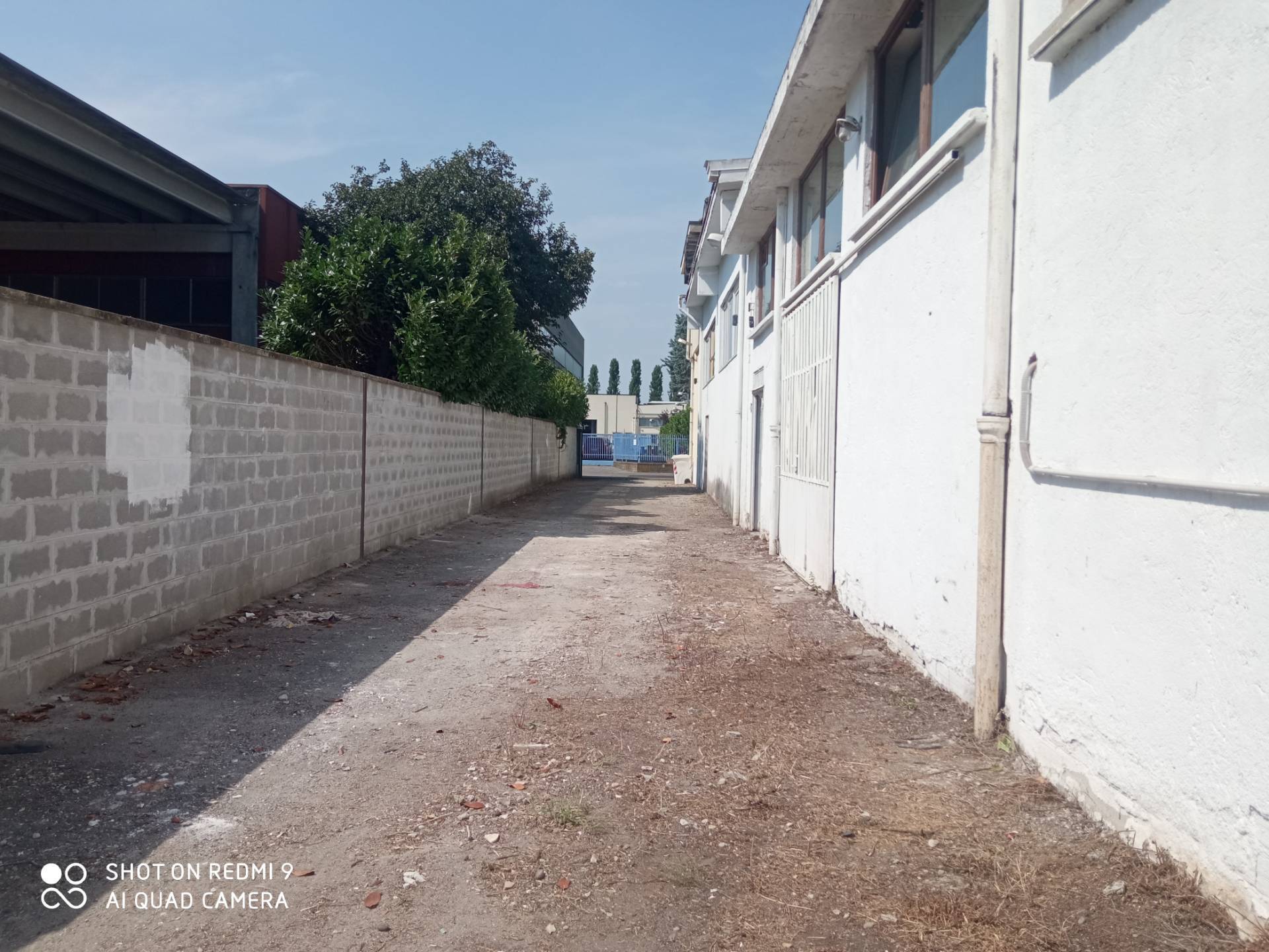 Capannone in affitto a Cernusco sul Naviglio