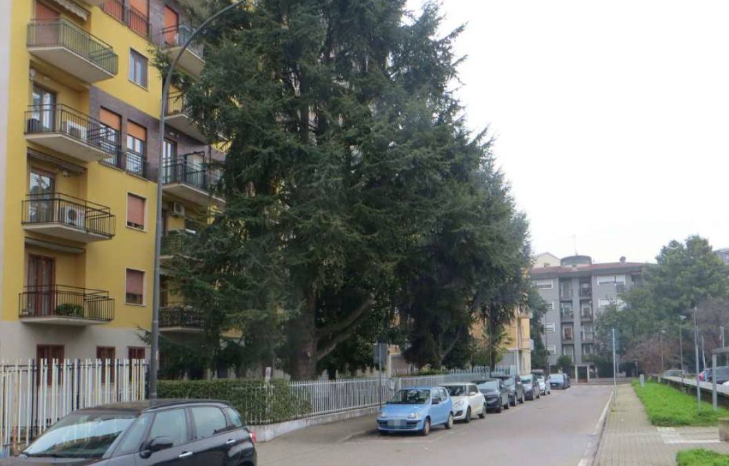 Appartamento in vendita a Cologno Monzese