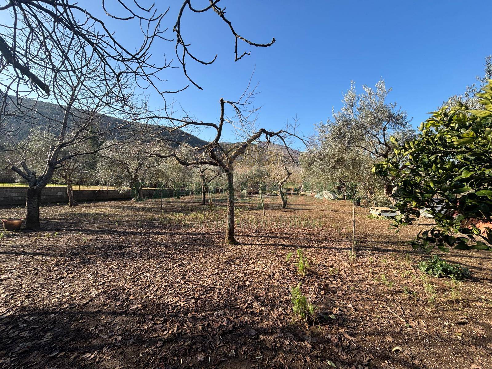 Terreno agricolo in vendita a Caserta