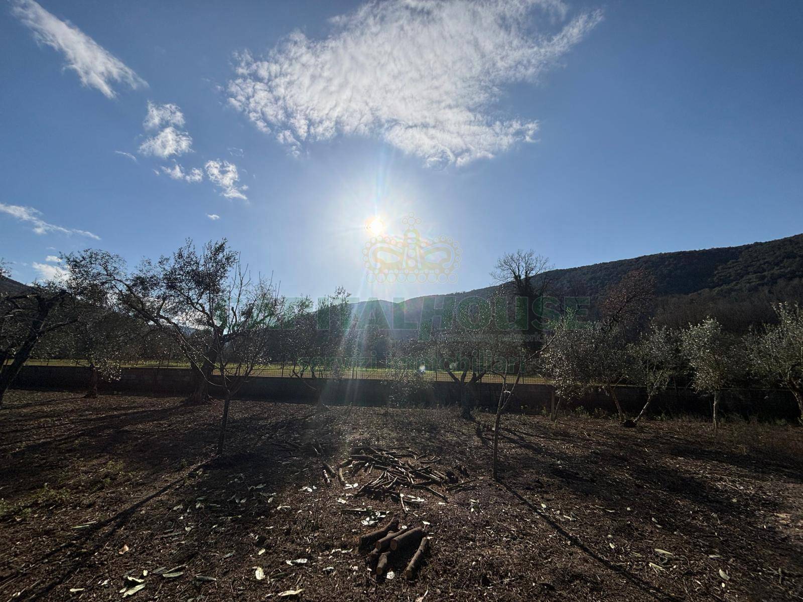 Terreno agricolo in vendita a Caserta