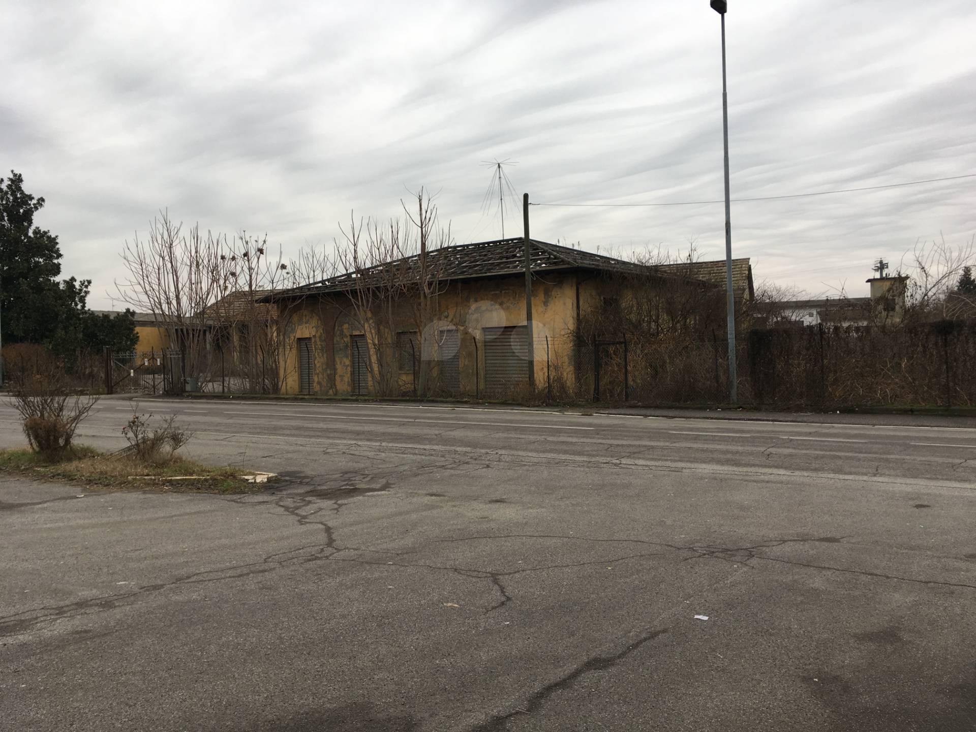 immagine annuncio 5 di 6